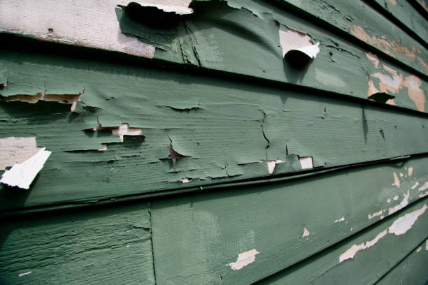 Best Dumpster Rental Services  in Wamac, IN