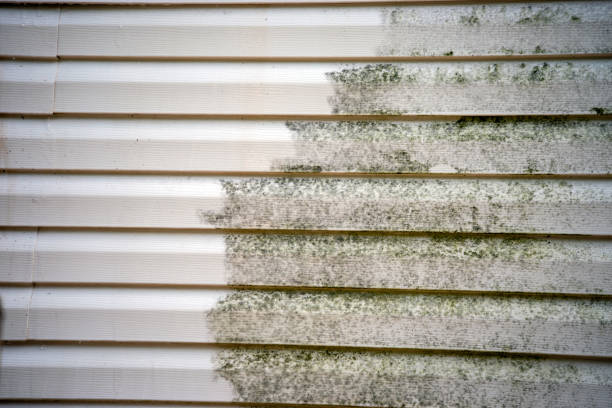 Best Mattress Disposal  in Wamac, IN