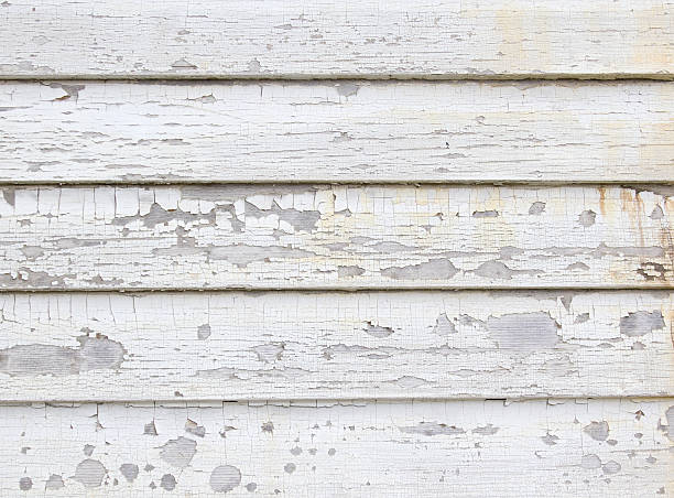 Best Hoarding Cleanup  in Wamac, IN